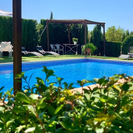 Torcales Del Lobo Apartamentos Rurales Pozo Alcon Ngoại thất bức ảnh