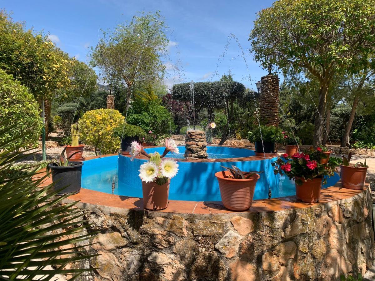 Torcales Del Lobo Apartamentos Rurales Pozo Alcon Ngoại thất bức ảnh