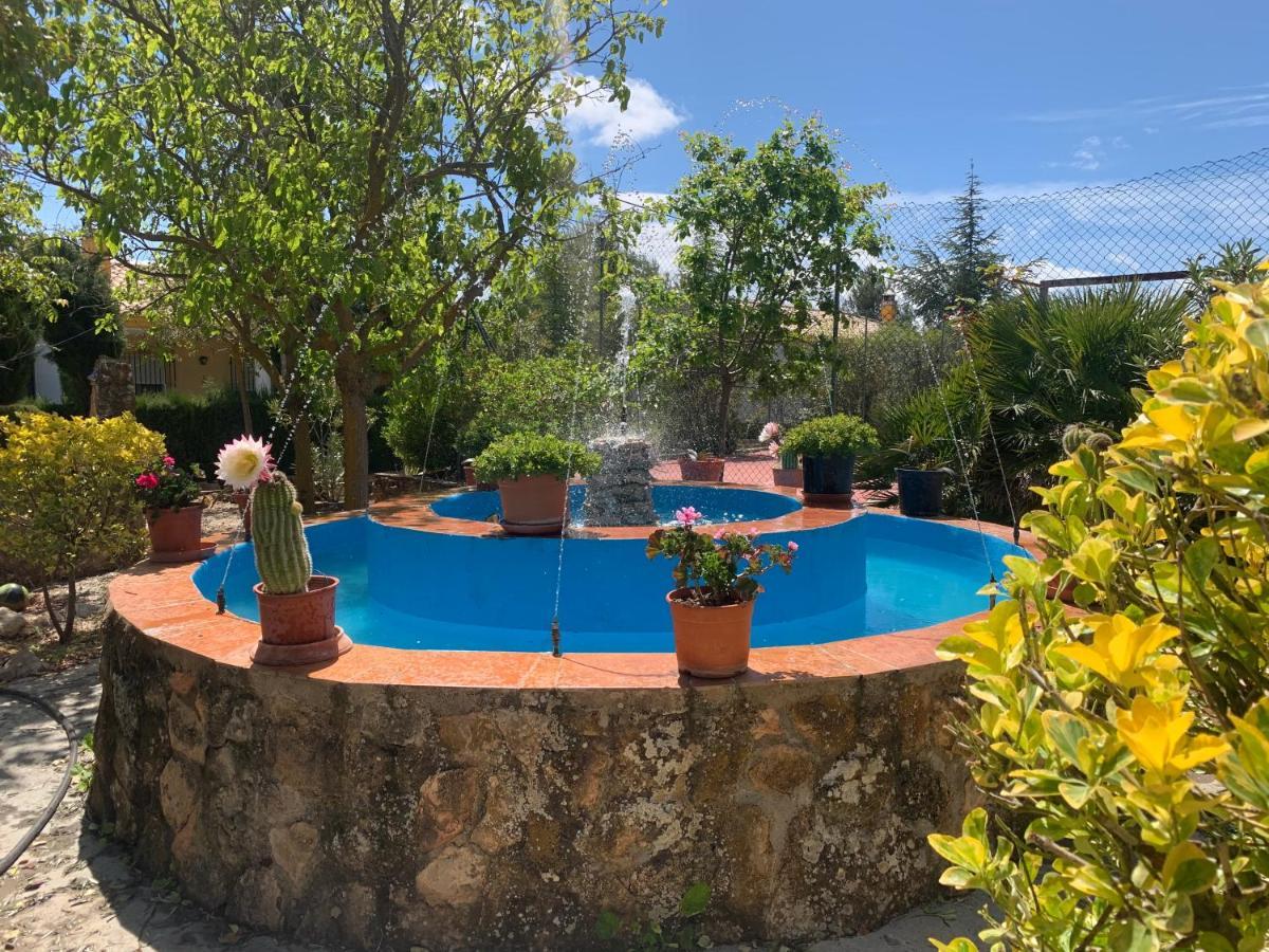 Torcales Del Lobo Apartamentos Rurales Pozo Alcon Ngoại thất bức ảnh